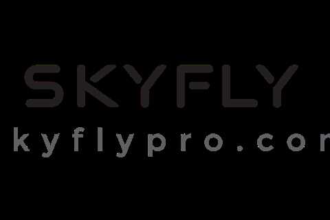 Sky Fly - Define Your Site’s Purpose and Strategy