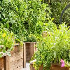 Year-Round Outdoor Pest Control Planning for Long-Term Protection