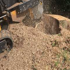 Efficient Stump Grinding in South Hampton Roads