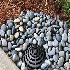 Why Landscape Contractors Focus on Preventing Water Issues Around Properties