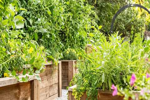 Year-Round Outdoor Pest Control Planning for Long-Term Protection