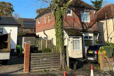 Tree Trimming Best Practices for Storm Damage Prevention