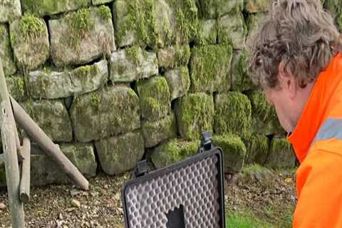 The Importance of Regular Tree Inspections for Health and Safety