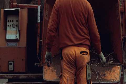 Understanding Tree Safety: Common Causes of Tree Accidents