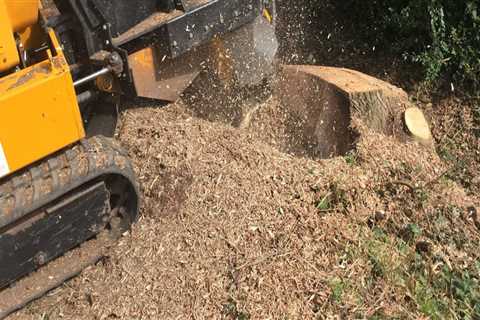 Efficient Stump Grinding in South Hampton Roads