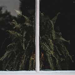 Glass Replacement in Pascagoula: Elevating Curb Appeal with Smart Home Staging Ideas