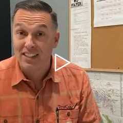 Absolute Tree Service