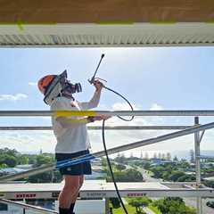 Hiring Strata Painters in Dee Why NSW: Advice for Property Managers | Lucialpiazzale
