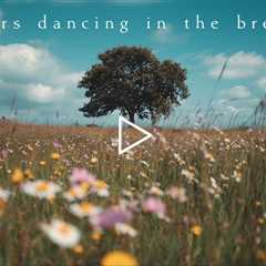 Flowers dancing in the breeze | Piano Playlist