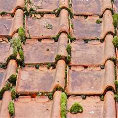 Professional Roofing Inspection for Attic Ventilation in Jasper