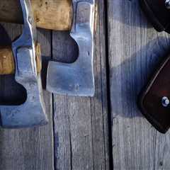 Expert Guide to Tree Inspection & Affordable Removal Tools