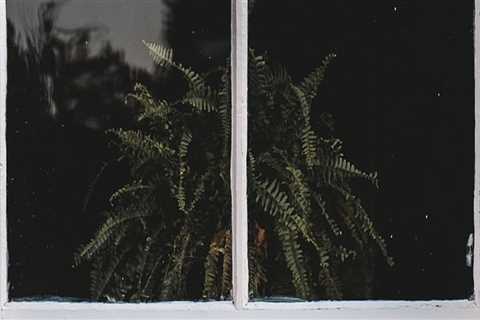 Glass Replacement in Pascagoula: Elevating Curb Appeal with Smart Home Staging Ideas