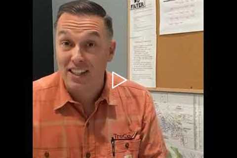 Affordable Stump Grinding