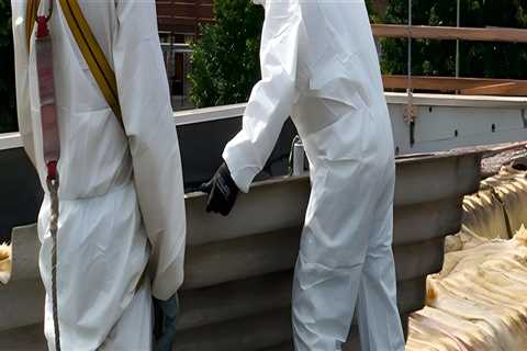 What to Look for in an Asbestos Management Survey Company in Morley