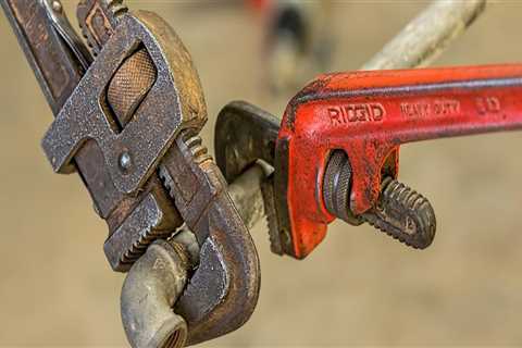 Camera Inspection for Plumbing in Phoenix, AZ: Lessons from Lawn Care Services