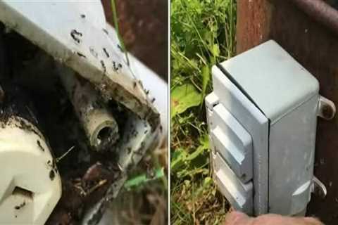 Outdoor Pest Control and the Subtle Role of Electrical System Safety