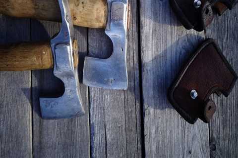 Expert Guide to Tree Inspection & Affordable Removal Tools