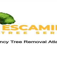 Pat's Podcast | Emergency Tree Removal Atlanta, GA | Podcastindex.org