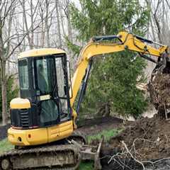Essential Tools for Effective Tree Excavation