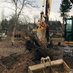 Understanding the Benefits of Tree Excavation for Your Landscape