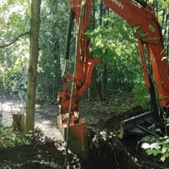 Essential Safety Precautions for Tree Excavation Projects