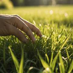 Maintaining a Lush Lawn Without Inviting Unwanted Pests