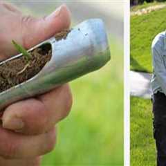 Understanding the Importance of pH in Effective Turf Management