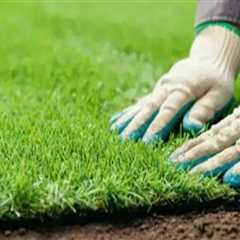 The Impact of Mowing Techniques on Turf Health: A Comprehensive Look at Turf Management