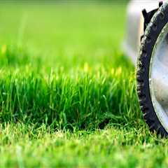 Finding the Right Cutting Height for Different Types of Turf Grass