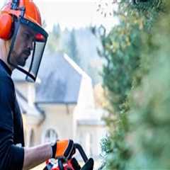 Essential Safety Precautions for Your Landscape Renovation Project