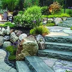 Creating Cohesive Designs in Landscape Renovation