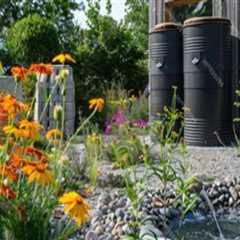 Incorporating Water Conservation in Your Landscape Renovation