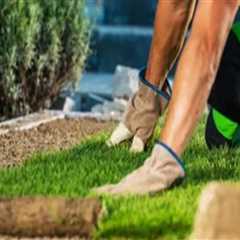Understanding the Costs of Landscape Renovation: A Comprehensive Breakdown