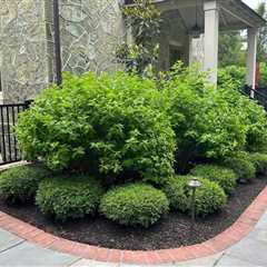 Affordable Mulch Supplier West Chester, PA