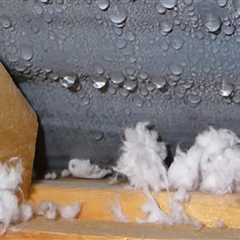 Why Roofing Professionals Pay Attention to Moisture Risks During Large Interior Renovations