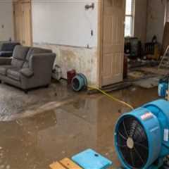 Caseyville, IL Home Water Restoration Guide Featuring Replacement Windows and Doors for Long-Term..