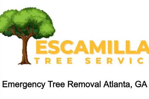 Emergency Tree Removal Atlanta, GA