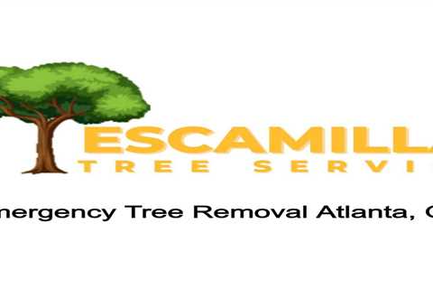 Pat's Podcast | Emergency Tree Removal Atlanta, GA | Podcastindex.org