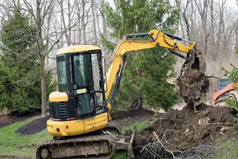 Essential Tools for Effective Tree Excavation