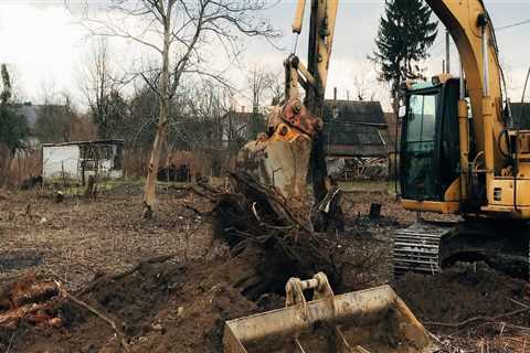 Understanding the Benefits of Tree Excavation for Your Landscape