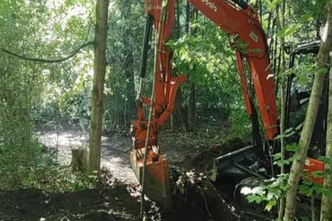 Essential Safety Precautions for Tree Excavation Projects