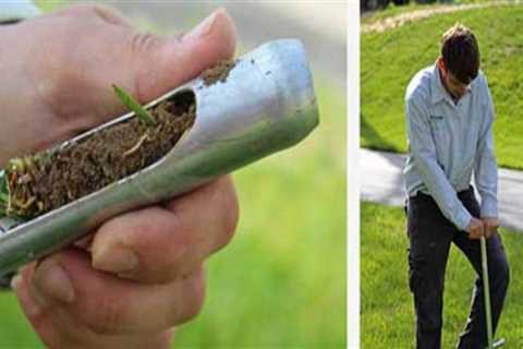 Understanding the Importance of pH in Effective Turf Management