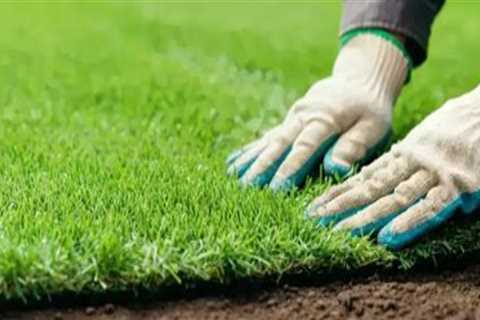The Impact of Mowing Techniques on Turf Health: A Comprehensive Look at Turf Management