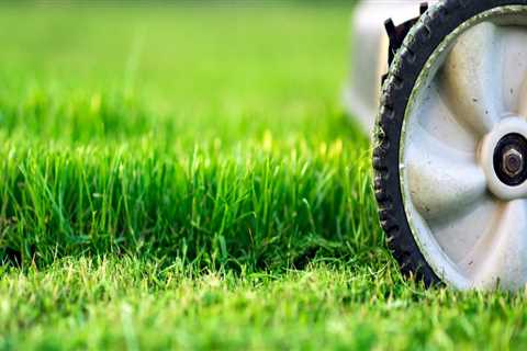 Finding the Right Cutting Height for Different Types of Turf Grass