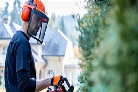 Essential Safety Precautions for Your Landscape Renovation Project