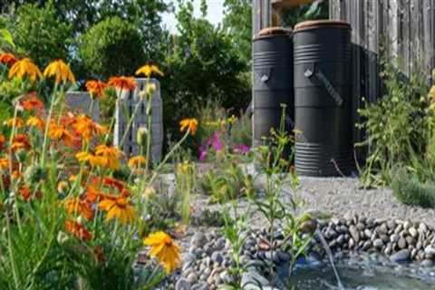 Incorporating Water Conservation in Your Landscape Renovation