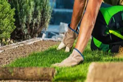 Understanding the Costs of Landscape Renovation: A Comprehensive Breakdown