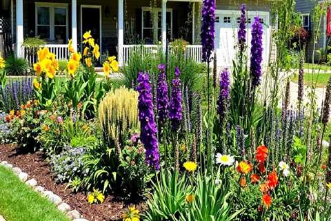 Incorporating Native Plants in Landscape Renovation: A Sustainable Approach