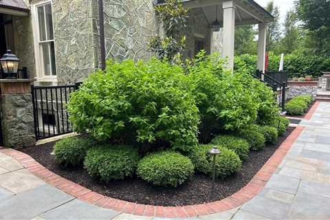 Affordable Mulch Supplier West Chester, PA