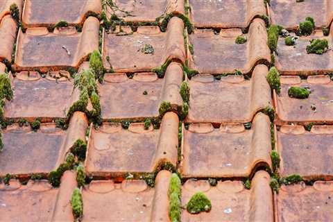 Expert Roof Installation in Jasper by Miller Roofing Alabama